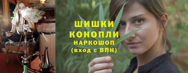 трава Аркадак