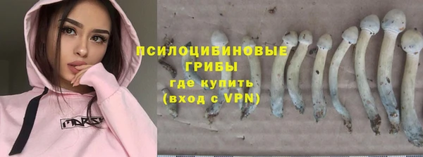 гидра Алексин