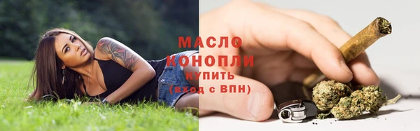 гидра Алексин