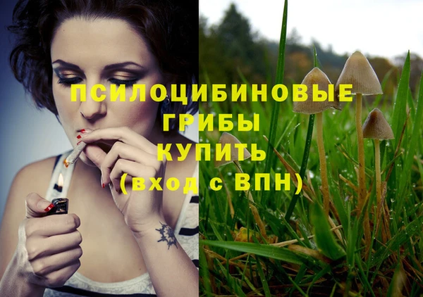 первитин Алзамай