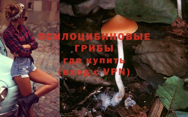 винт Армянск