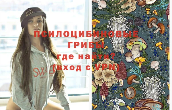 трава Аркадак