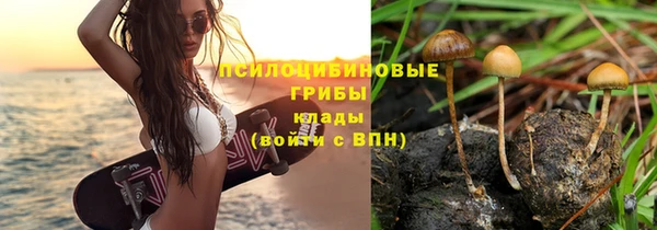 трава Аркадак