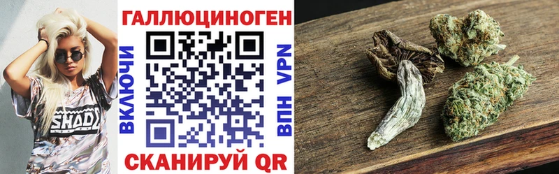 где купить   Набережные Челны  Псилоцибиновые грибы Psilocybine cubensis 